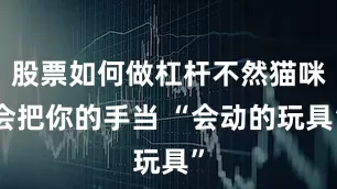股票如何做杠杆不然猫咪会把你的手当 “会动的玩具”