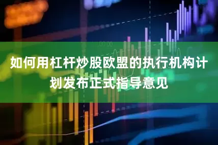 如何用杠杆炒股欧盟的执行机构计划发布正式指导意见