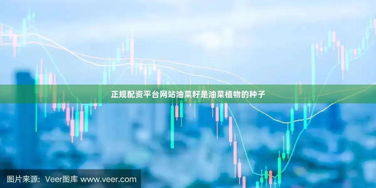正规配资平台网站油菜籽是油菜植物的种子