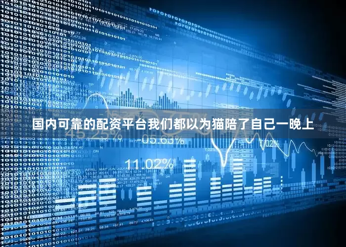 国内可靠的配资平台我们都以为猫陪了自己一晚上