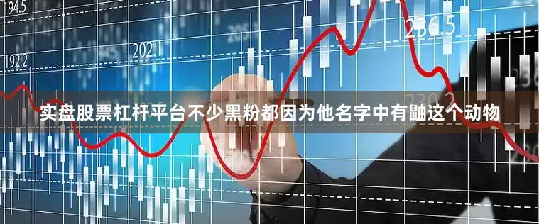 实盘股票杠杆平台不少黑粉都因为他名字中有鼬这个动物
